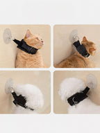 Adjustable Breakaway Cat Collar with Suction Cup Leash