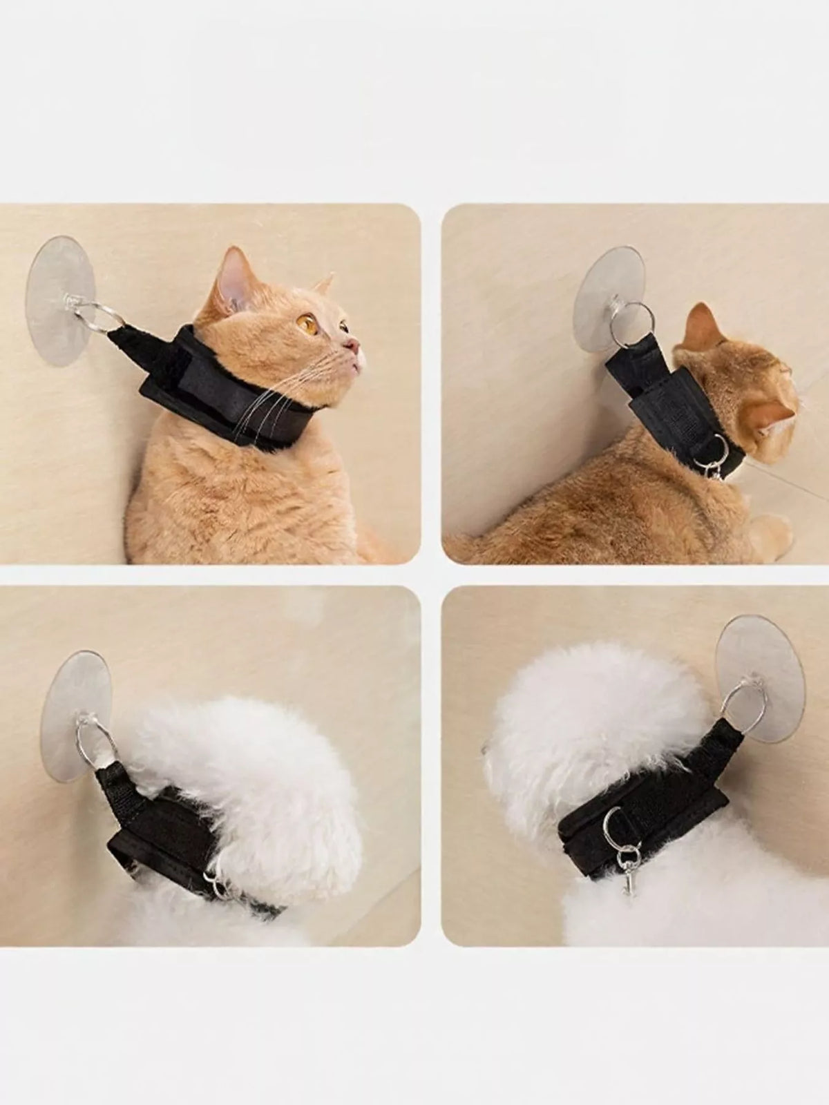 Adjustable Breakaway Cat Collar with Suction Cup Leash