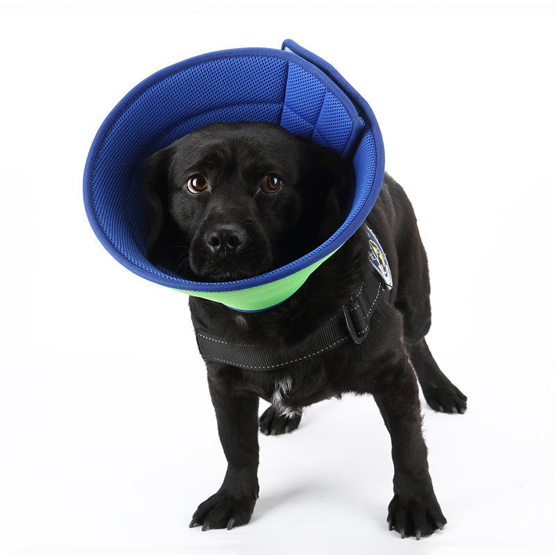 Dog Cat Anti-bite Collar Pet Medical Recovery Transparent Pets Protection Cover Circle