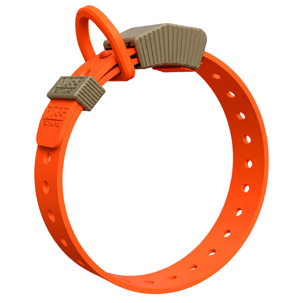 FIELD COLLAR FOR DOGS