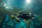 Navbow Under Water Scooter