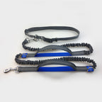 Amazon direct pet supplies multi-function running reflective leash double elastic leash traction