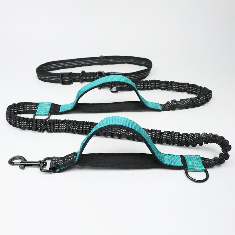 Amazon direct pet supplies multi-function running reflective leash double elastic leash traction