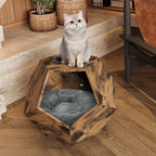 25.98'' Modern Pet Furniture Cat Kennel Side Table Multi-Purpose Furniture Antique Wood