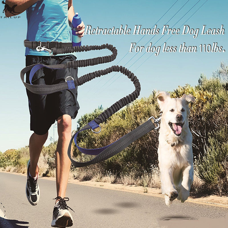 Amazon direct pet supplies multi-function running reflective leash double elastic leash traction