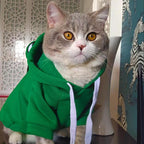 Soft Warm Cat Clothes For Small Dogs Cats Funny Halloween Cosplay Frog Costume Kittens