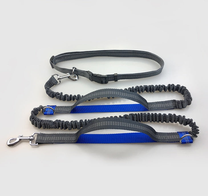 Amazon direct pet supplies multi-function running reflective leash double elastic leash traction