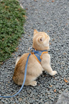 Vest-Style Reflective Chest Harness Anti-Stroke Resistance Special Rope For Walking Cats