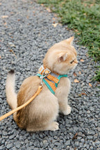 Vest-Style Reflective Chest Harness Anti-Stroke Resistance Special Rope For Walking Cats