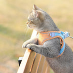 Cat Traction Rope Home Vest-Style Chest Harness Cute Anti-Stroke Cat Walking Rope