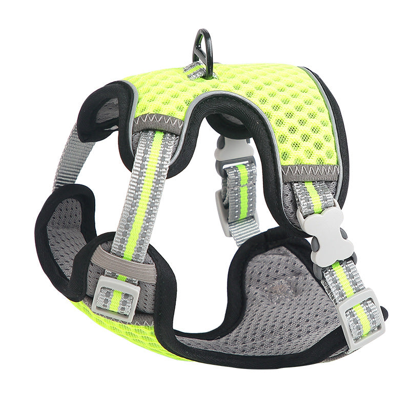 Going Out For A Cat Walk, Pet Cat Chest Strap