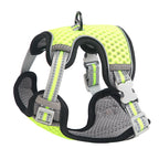 Going Out For A Cat Walk, Pet Cat Chest Strap