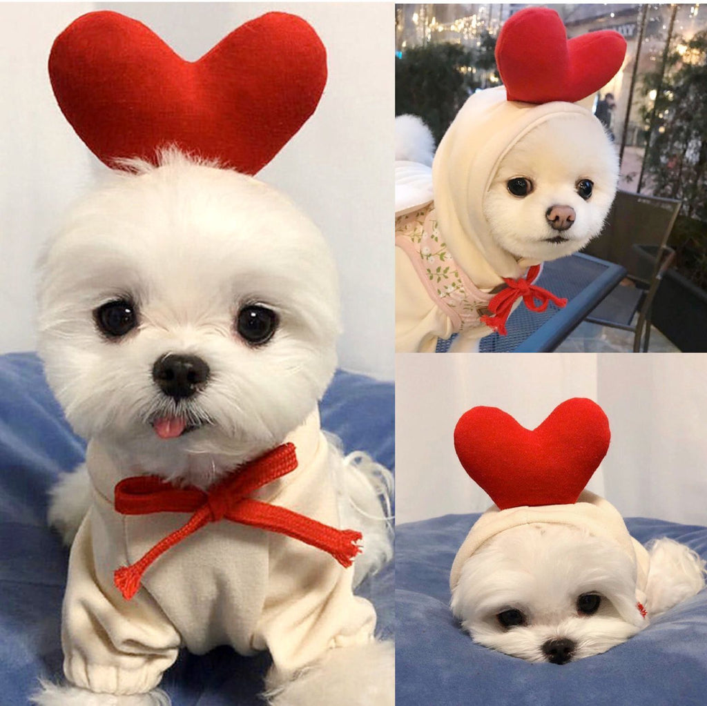 Cute Fruit Clothes For Small Dogs Hoodies Warm Fleece Cat Costume French Chihuahua Outfit