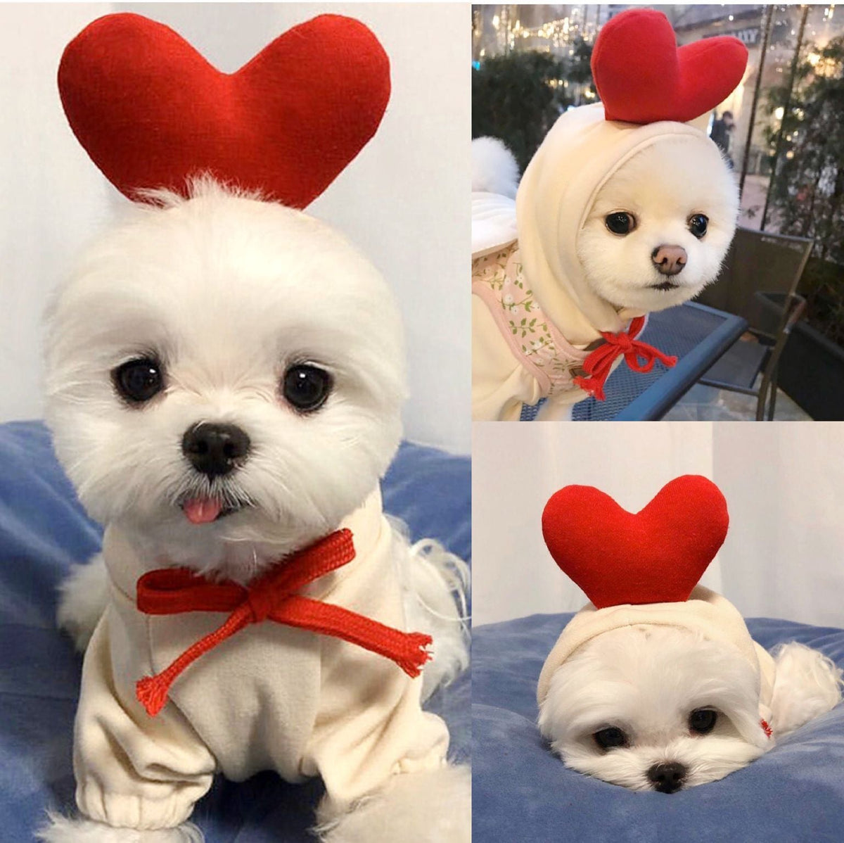 Cute Fruit Dog Clothes For Small Dogs Hoodies Cat Costume Coat