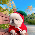Cute Fruit Clothes For Small Dogs Hoodies Warm Fleece Cat Costume French Chihuahua Outfit