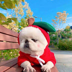 Cute Fruit Clothes For Small Dogs Hoodies Warm Fleece Cat Costume French Chihuahua Outfit