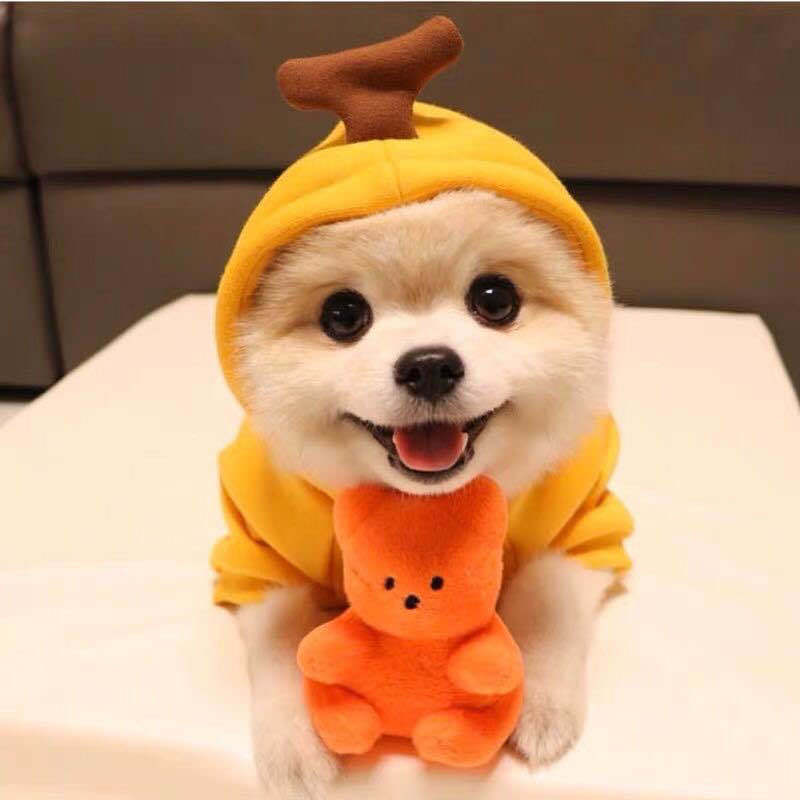 Cute Fruit Clothes For Small Dogs Hoodies Warm Fleece Cat Costume French Chihuahua Outfit