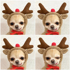 Cute Fruit Clothes For Small Dogs Hoodies Warm Fleece Cat Costume French Chihuahua Outfit