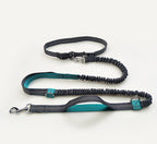 Amazon direct pet supplies multi-function running reflective leash double elastic leash traction