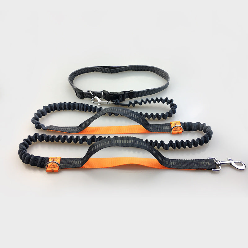 Amazon direct pet supplies multi-function running reflective leash double elastic leash traction