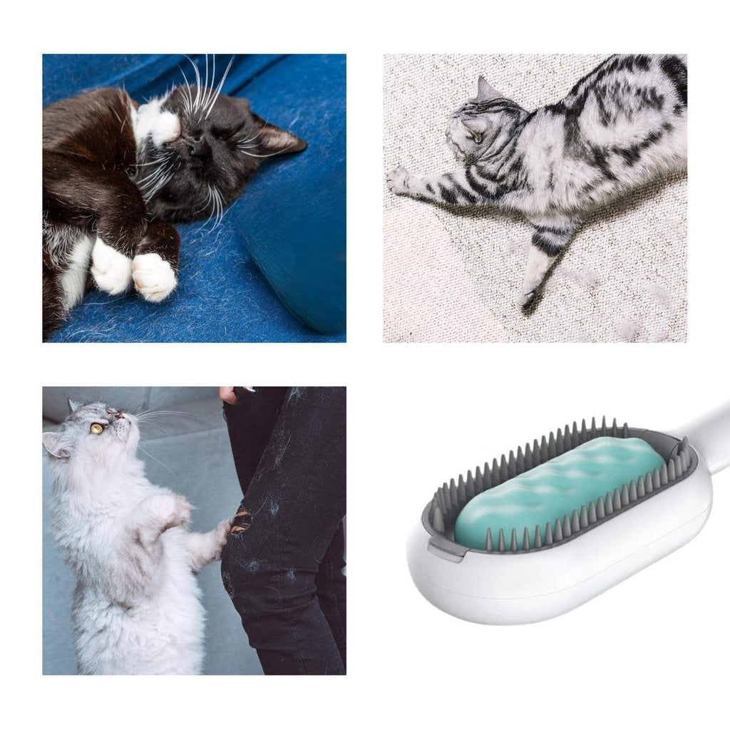 Cat Hair Brush W/ Water, Sticky Brush For Cats, 4 In-1  Creative Update Dog Grooming Comb