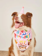 Dog Happy Birthday Costume Hats Bowknot Bandana Neckerchief Bibs Banners Party Cat Dog