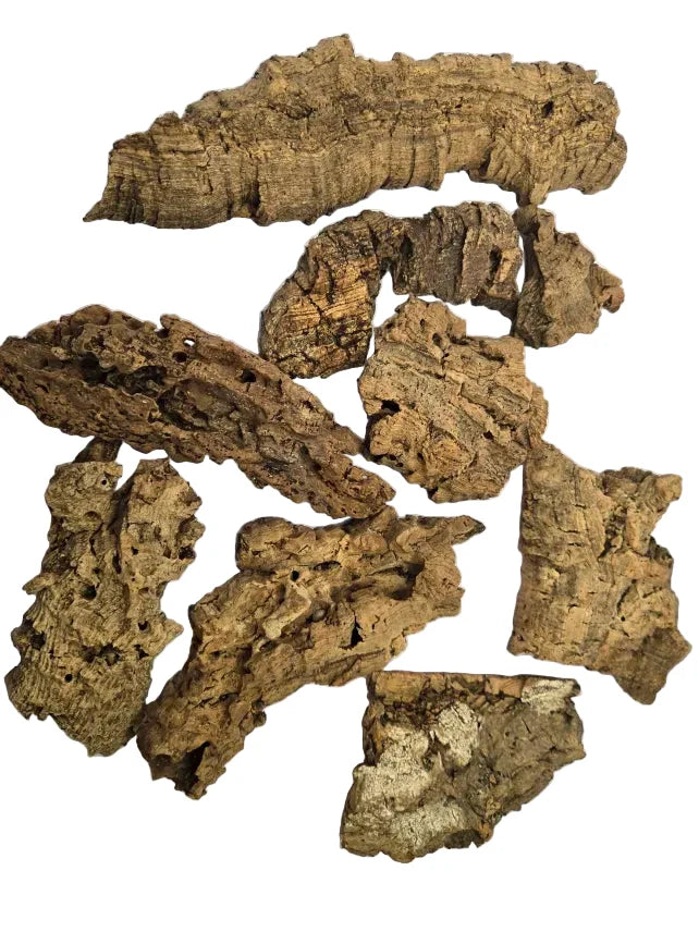 Cork Bark for Terrariums