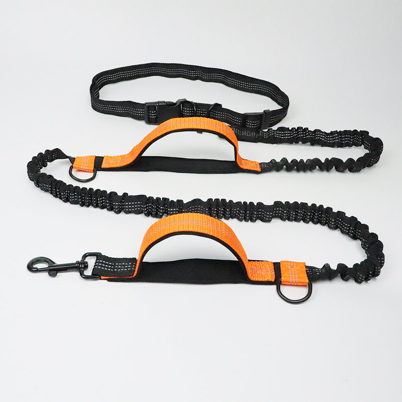 Amazon direct pet supplies multi-function running reflective leash double elastic leash traction