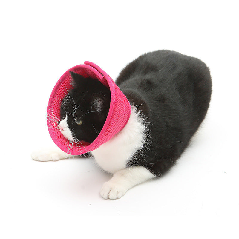 Dog Cat Anti-bite Collar Pet Medical Recovery Transparent Pets Protection Cover Circle
