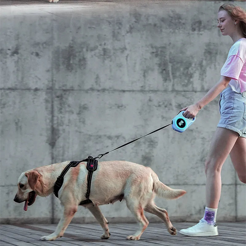 Automatic Retractable Leash LED Luminous Light Straps Small Medium Dog Walking Running