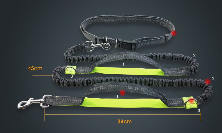 Amazon direct pet supplies multi-function running reflective leash double elastic leash traction