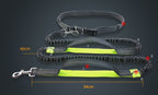 Amazon direct pet supplies multi-function running reflective leash double elastic leash traction
