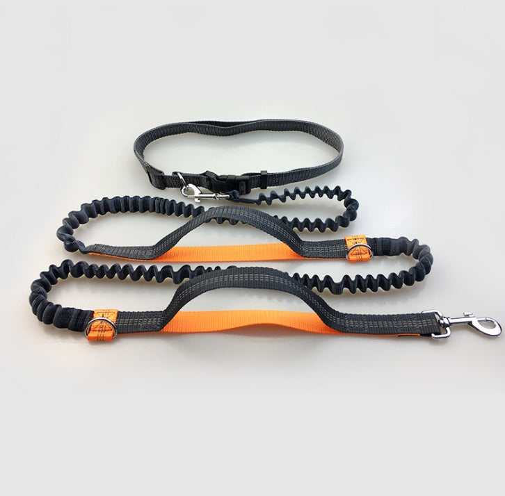 Amazon direct pet supplies multi-function running reflective leash double elastic leash traction