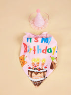 Dog Happy Birthday Costume Hats Bowknot Bandana Neckerchief Bibs Banners Party Cat Dog