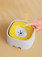 Automatic Circulating Filtered Pet Water Fountain Bowl