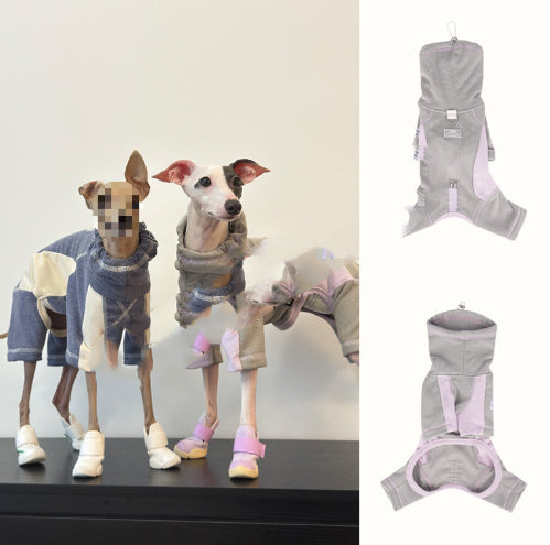 Dog Clothes Autumn Winter Thickened Warm Sporty Style Four-Leg Base Layer