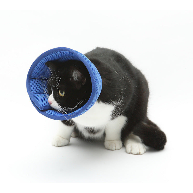 Dog Cat Anti-bite Collar Pet Medical Recovery Transparent Pets Protection Cover Circle