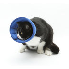 Dog Cat Anti-bite Collar Pet Medical Recovery Transparent Pets Protection Cover Circle