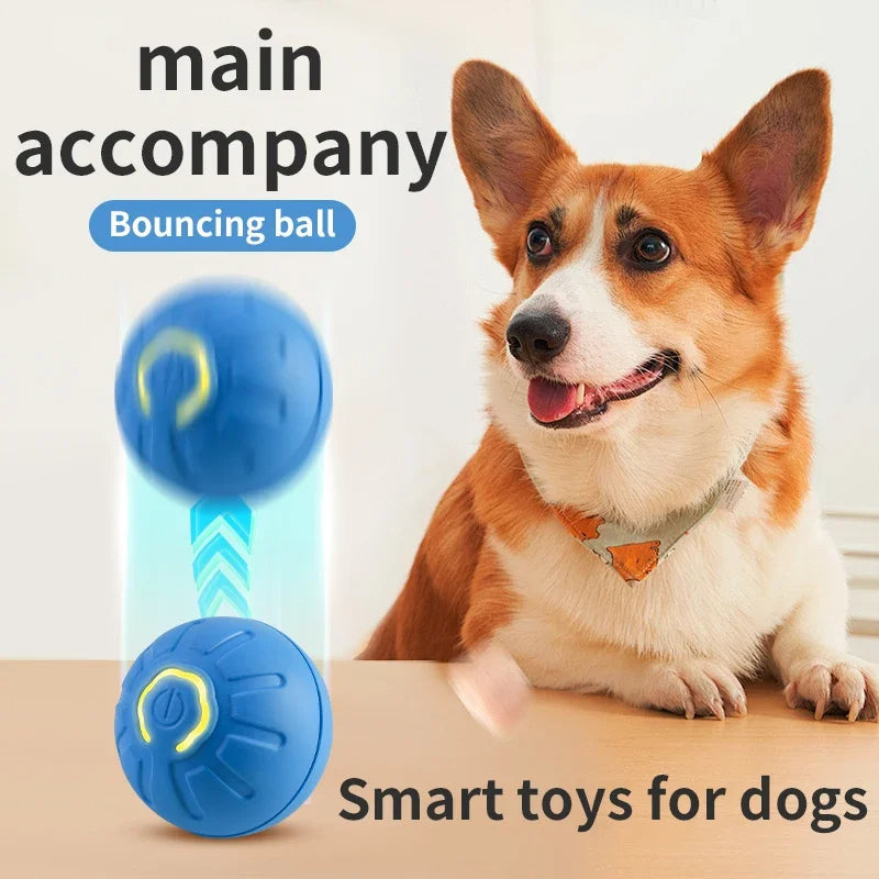Smart Dog Toy Electronic Interactive Moving Ball USB Automatic Bouncing For Puppy's & Cats