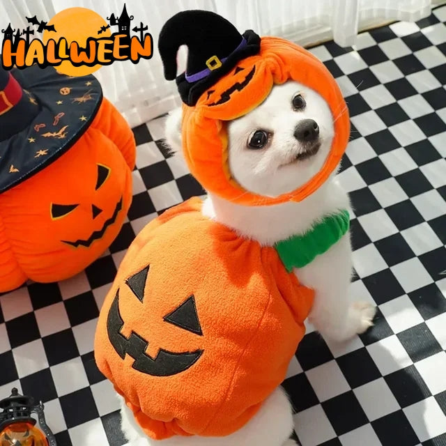 Halloween Vest For Dogs Cat Pet Costume Funny Thanksgiving Christmas For Small Animals