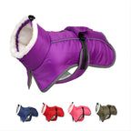 Pet Autumn And Winter Clothes Thick Warm Waterproof Cold-proof Cotton Coat Dog Clothes