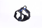 LED Luminous Night Walking Dog Car Accident Prevention Adjustable Flash Dogs Cats Vest
