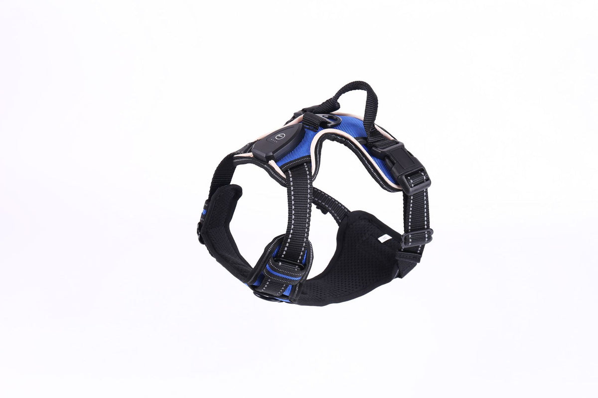 LED Luminous Night Walking Dog Car Accident Prevention Adjustable Flash Dogs Cats Vest