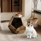 25.98'' Modern Pet Furniture Cat Kennel Side Table Multi-Purpose Furniture Antique Wood