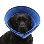 Dog Cat Anti-bite Collar Pet Medical Recovery Transparent Pets Protection Cover Circle