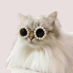 Cat And Dog Pearl Sunglasses - Pet Extravagant Funny Costumes For Party