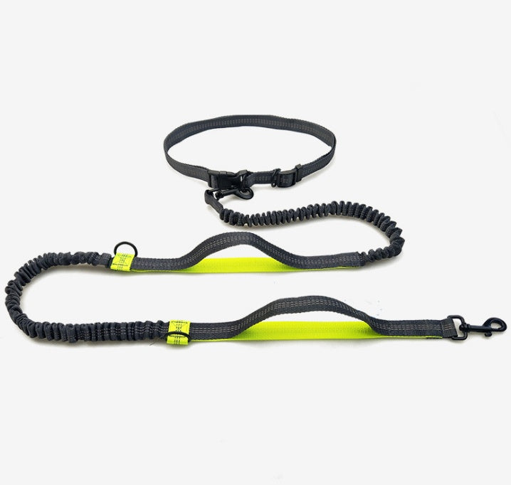 Amazon direct pet supplies multi-function running reflective leash double elastic leash traction