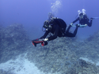 Navbow Under Water Scooter