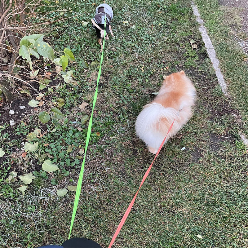 Retractable Dog Leash For Small Dogs Reflective Dual Pet Leash Lead 360 Swivel
