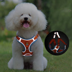 Dog Leash And Harness Set Pet Dog Harness And Leash Set Adjustable Puppy Cat Harness